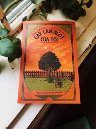 Sách mẫu